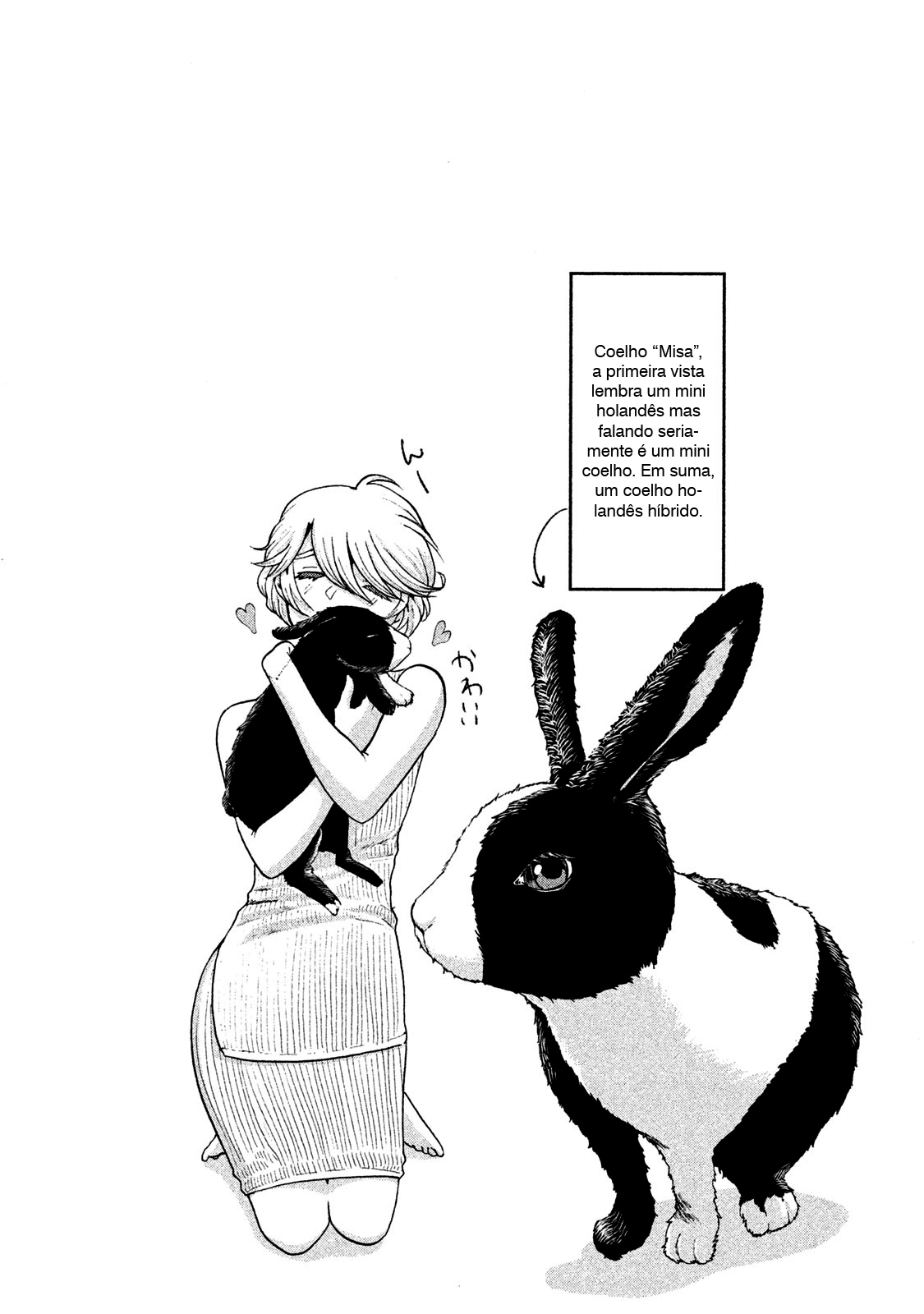 Aida ni Hatachi Capítulo 1