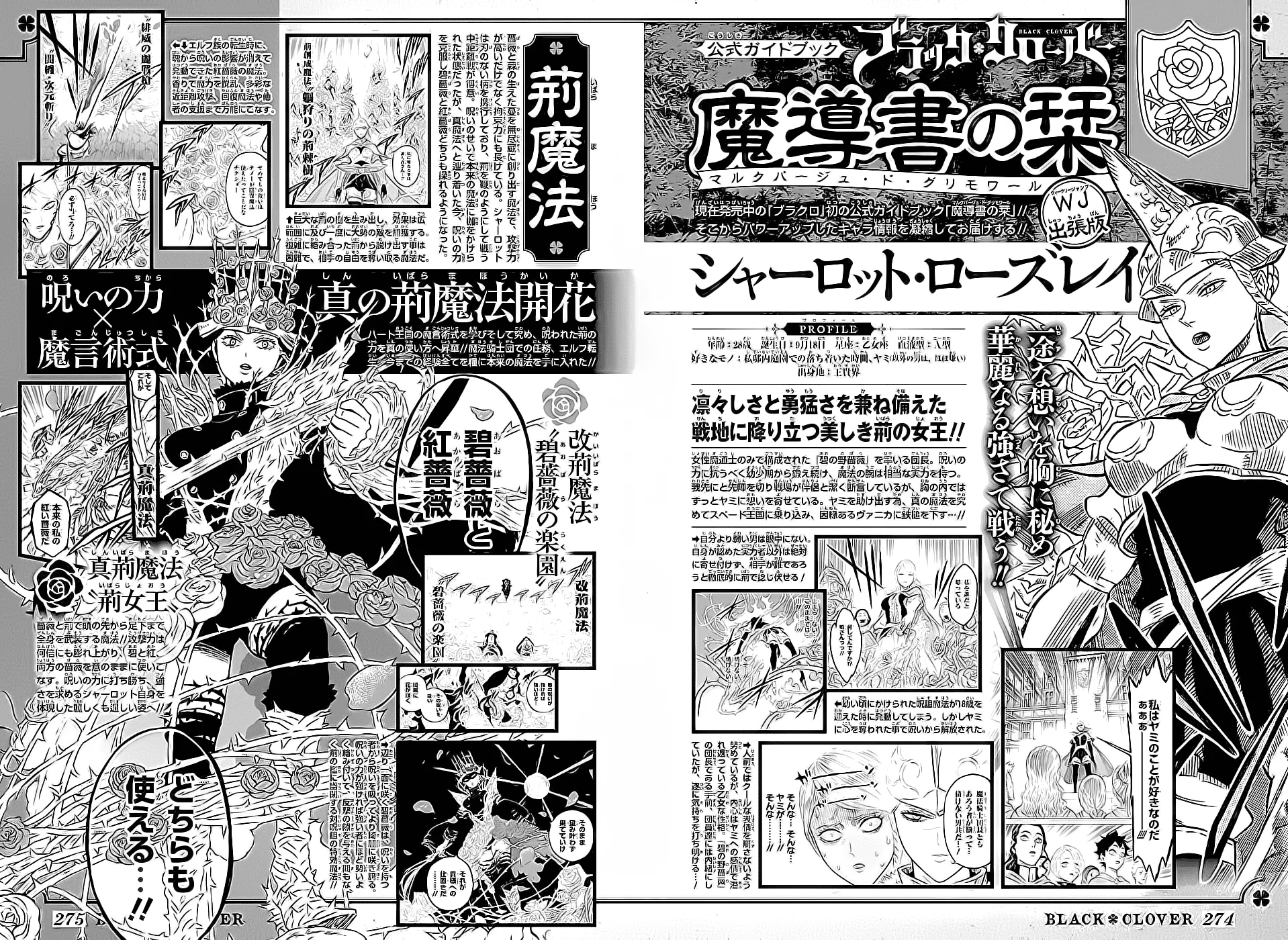 Black Clover Capítulo 285 – Brincando no inferno