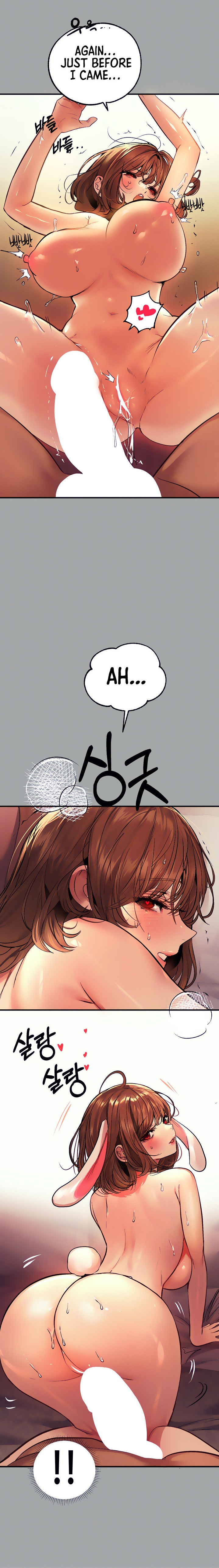 My Landlady Noona Chapter 156.5