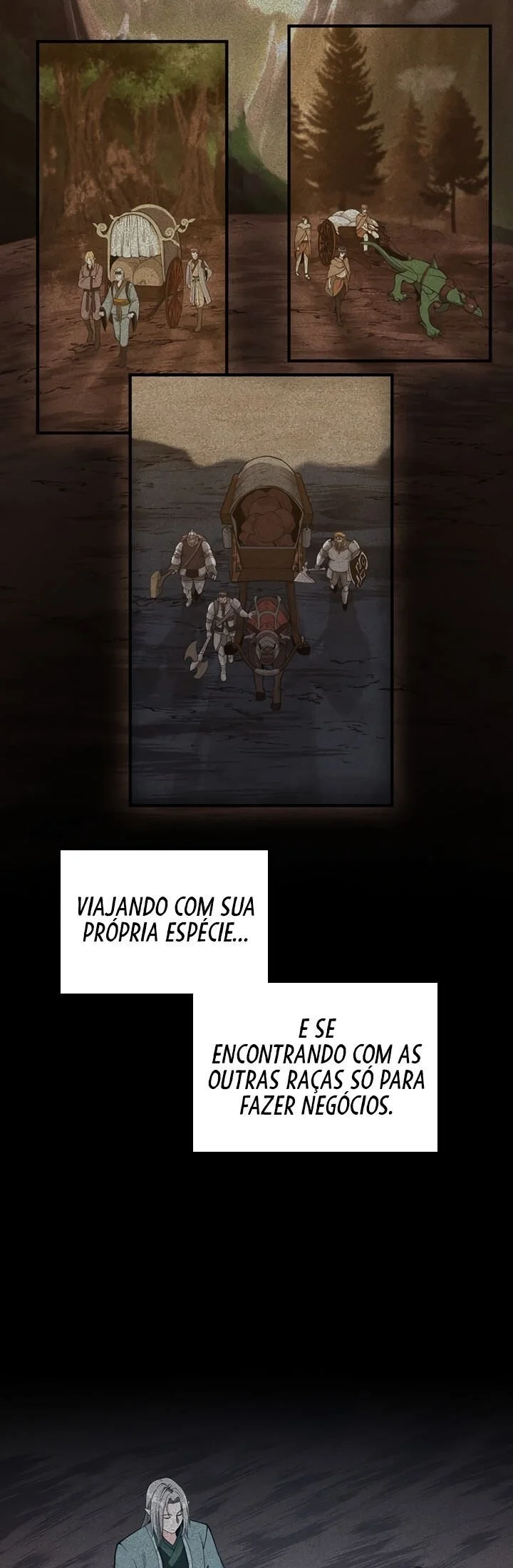 The Beginning After The End Capítulo 1 – O Fim do Tunel