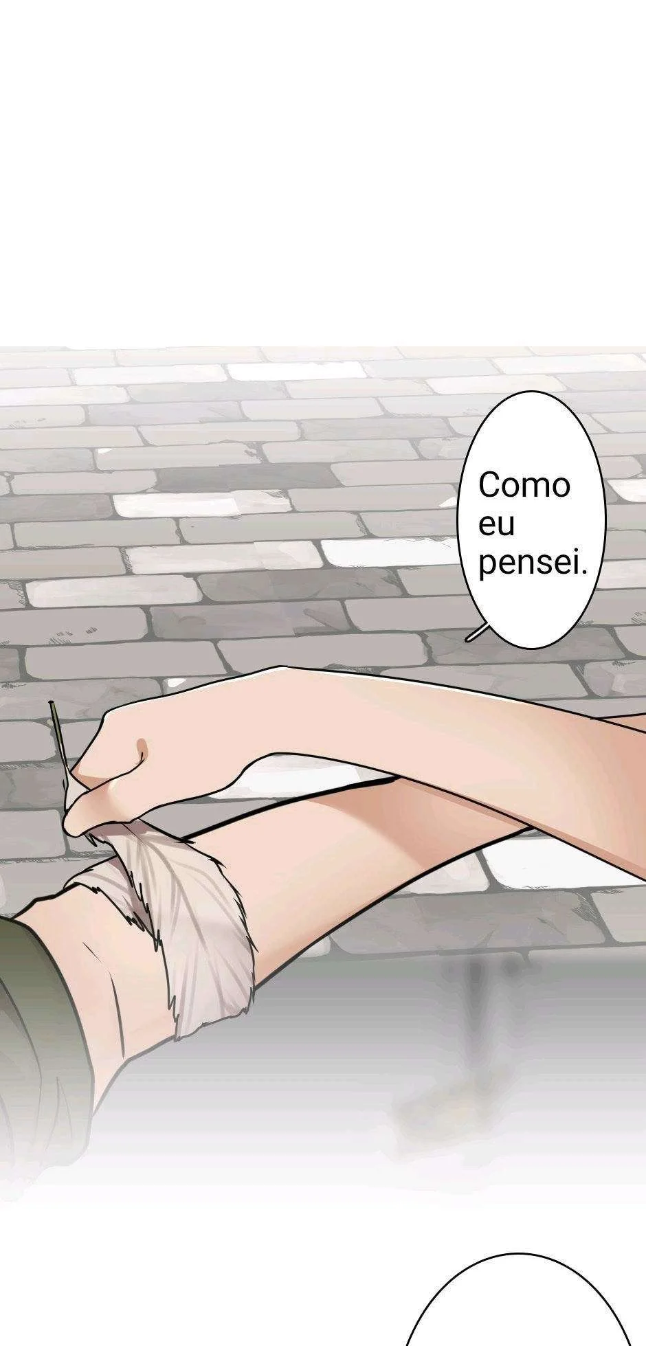 The Beginning After The End Capítulo 1 – O Fim do Tunel